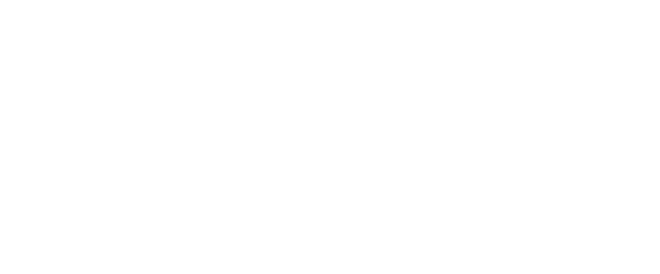 Websites & E-Commerce